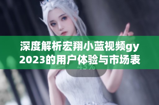 深度解析宏翔小蓝视频gy2023的用户体验与市场表现