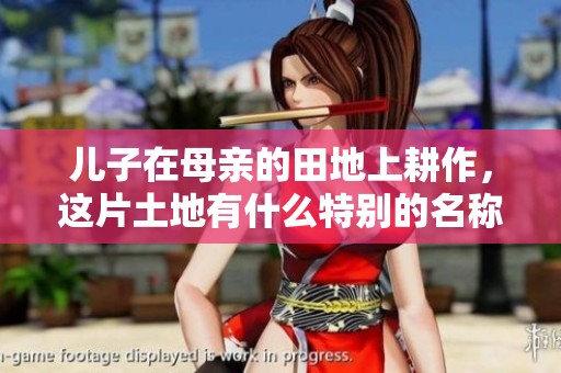 儿子在母亲的田地上耕作，这片土地有什么特别的名称？