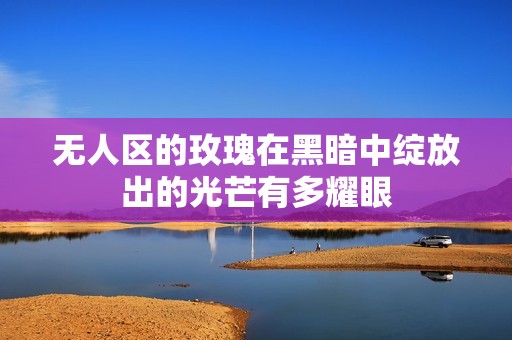 无人区的玫瑰在黑暗中绽放出的光芒有多耀眼