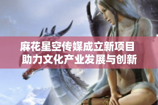 麻花星空传媒成立新项目 助力文化产业发展与创新