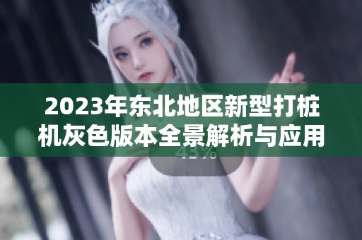 2023年东北地区新型打桩机灰色版本全景解析与应用探讨
