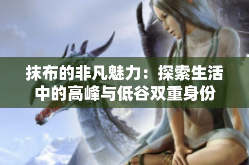 抹布的非凡魅力：探索生活中的高峰与低谷双重身份