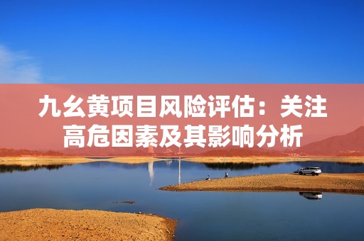 九幺黄项目风险评估：关注高危因素及其影响分析