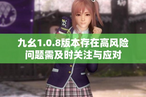 九幺1.0.8版本存在高风险问题需及时关注与应对