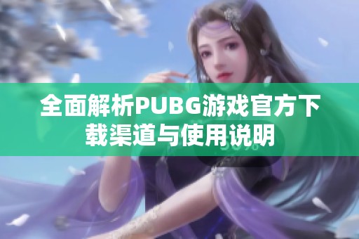 全面解析PUBG游戏官方下载渠道与使用说明