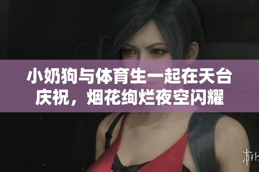 小奶狗与体育生一起在天台庆祝，烟花绚烂夜空闪耀