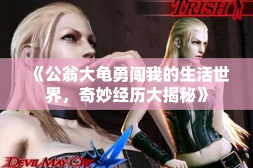 《公翁大龟勇闯我的生活世界，奇妙经历大揭秘》