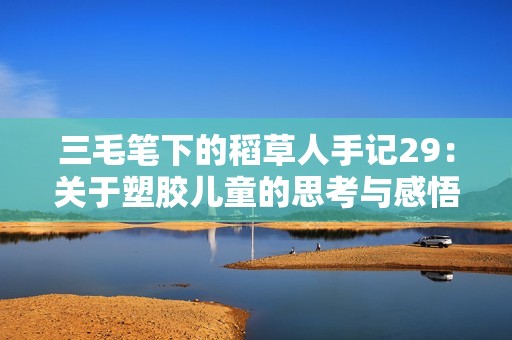 三毛笔下的稻草人手记29：关于塑胶儿童的思考与感悟