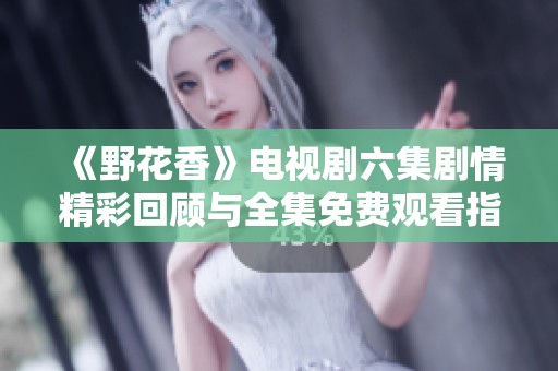《野花香》电视剧六集剧情精彩回顾与全集免费观看指南