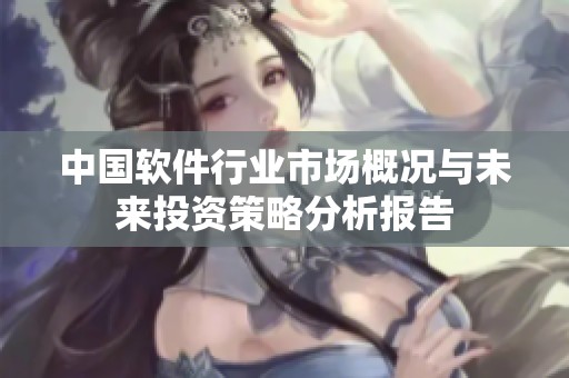 中国软件行业市场概况与未来投资策略分析报告