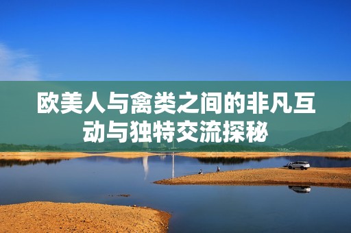 欧美人与禽类之间的非凡互动与独特交流探秘