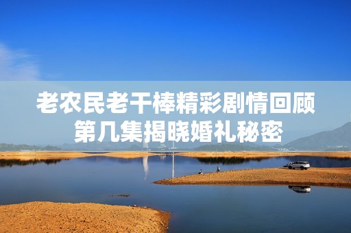 老农民老干棒精彩剧情回顾 第几集揭晓婚礼秘密