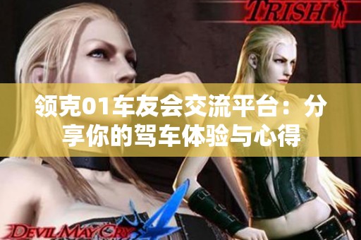 领克01车友会交流平台：分享你的驾车体验与心得