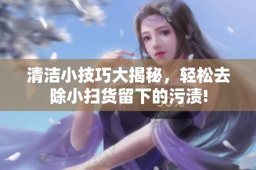 清洁小技巧大揭秘，轻松去除小扫货留下的污渍!