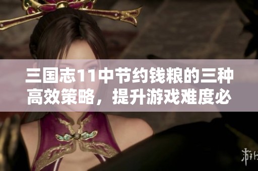 三国志11中节约钱粮的三种高效策略，提升游戏难度必备技巧