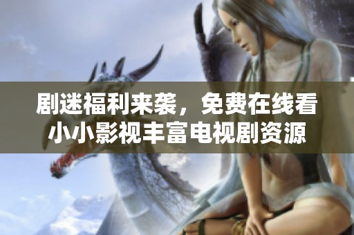 剧迷福利来袭，免费在线看小小影视丰富电视剧资源