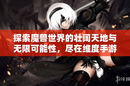 探索魔兽世界的壮阔天地与无限可能性，尽在维度手游网
