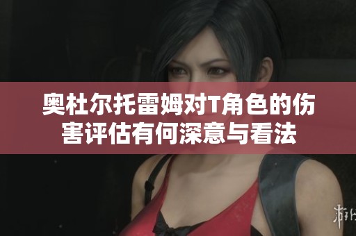 奥杜尔托雷姆对T角色的伤害评估有何深意与看法