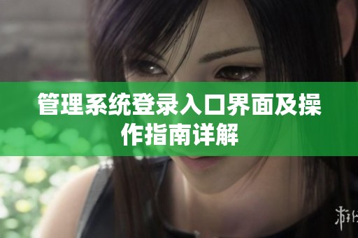 管理系统登录入口界面及操作指南详解