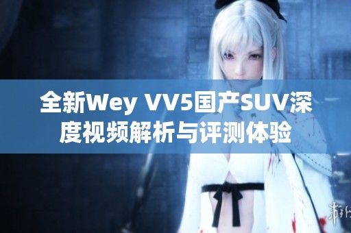 全新Wey VV5国产SUV深度视频解析与评测体验