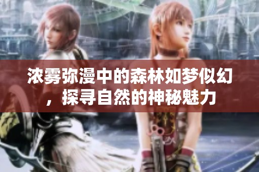 浓雾弥漫中的森林如梦似幻，探寻自然的神秘魅力