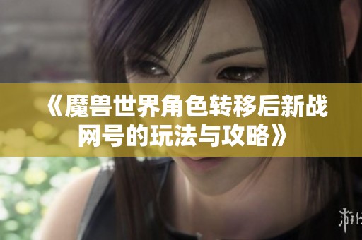 《魔兽世界角色转移后新战网号的玩法与攻略》