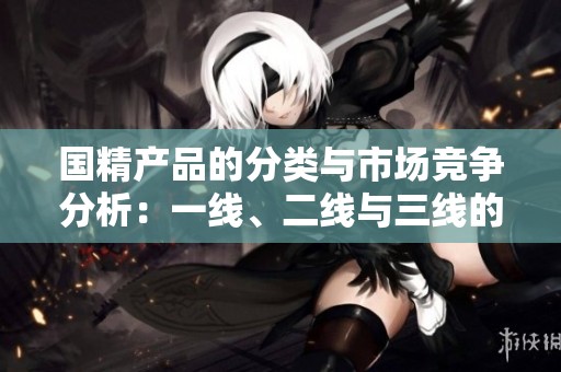 国精产品的分类与市场竞争分析：一线、二线与三线的深度解读