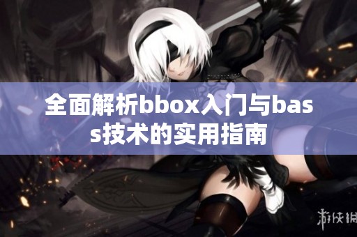 全面解析bbox入门与bass技术的实用指南