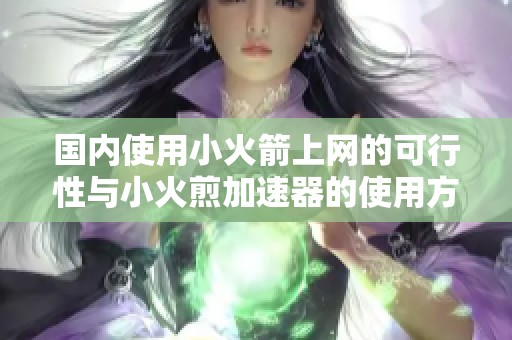 国内使用小火箭上网的可行性与小火煎加速器的使用方法分析