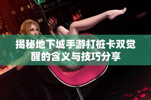 揭秘地下城手游打桩卡双觉醒的含义与技巧分享