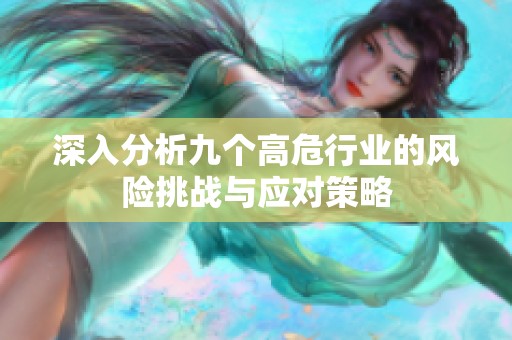 深入分析九个高危行业的风险挑战与应对策略