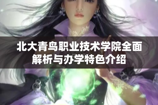 北大青鸟职业技术学院全面解析与办学特色介绍