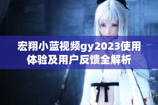 宏翔小蓝视频gy2023使用体验及用户反馈全解析