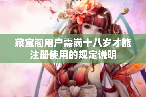 藏宝阁用户需满十八岁才能注册使用的规定说明