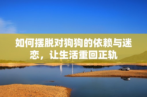 如何摆脱对狗狗的依赖与迷恋，让生活重回正轨