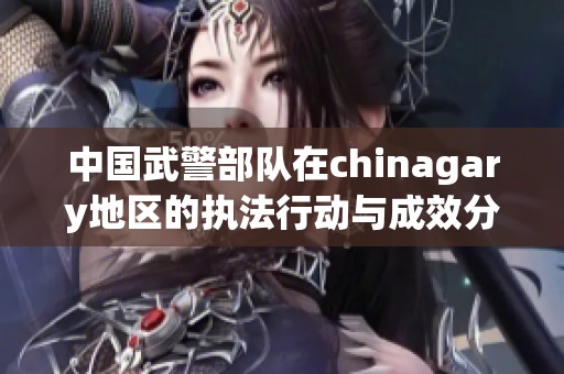 中国武警部队在chinagary地区的执法行动与成效分析