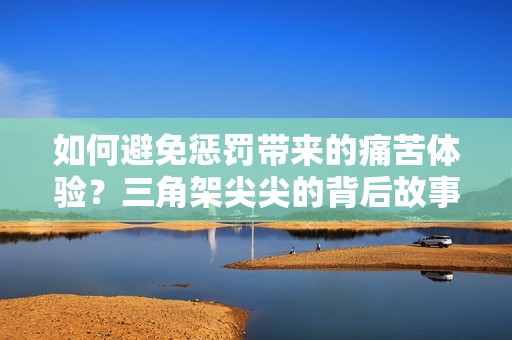 如何避免惩罚带来的痛苦体验？三角架尖尖的背后故事