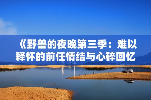 《野兽的夜晚第三季：难以释怀的前任情结与心碎回忆》