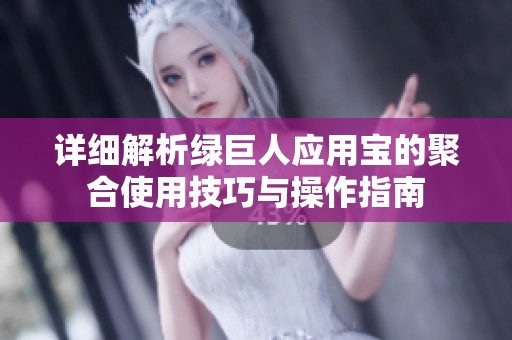详细解析绿巨人应用宝的聚合使用技巧与操作指南