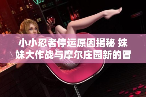 小小忍者停运原因揭秘 妹妹大作战与摩尔庄园新的冒险之旅