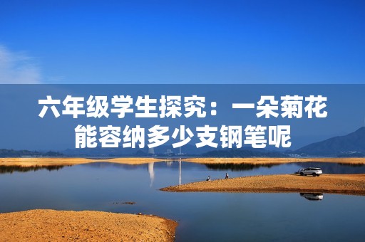 六年级学生探究：一朵菊花能容纳多少支钢笔呢