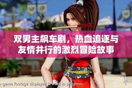 双男主飙车剧，热血追逐与友情并行的激烈冒险故事