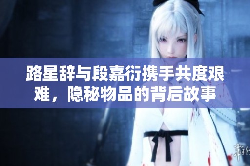 路星辞与段嘉衍携手共度艰难，隐秘物品的背后故事