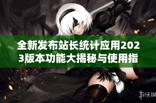全新发布站长统计应用2023版本功能大揭秘与使用指南
