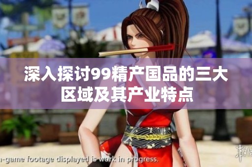 深入探讨99精产国品的三大区域及其产业特点