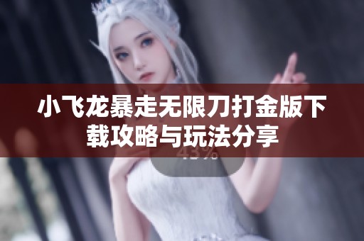 小飞龙暴走无限刀打金版下载攻略与玩法分享