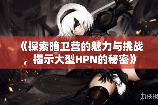 《探索暗卫营的魅力与挑战，揭示大型HPN的秘密》