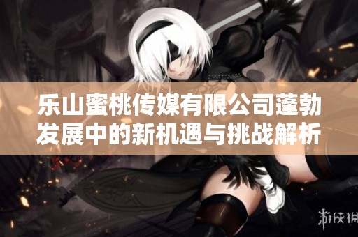 乐山蜜桃传媒有限公司蓬勃发展中的新机遇与挑战解析