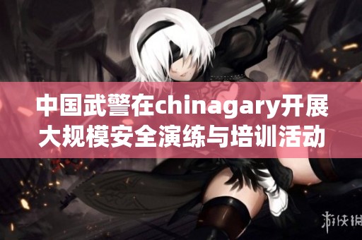 中国武警在chinagary开展大规模安全演练与培训活动