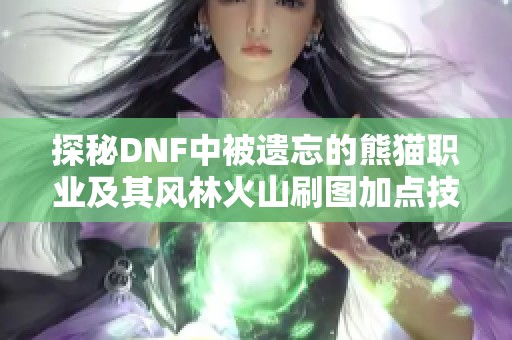 探秘DNF中被遗忘的熊猫职业及其风林火山刷图加点技巧